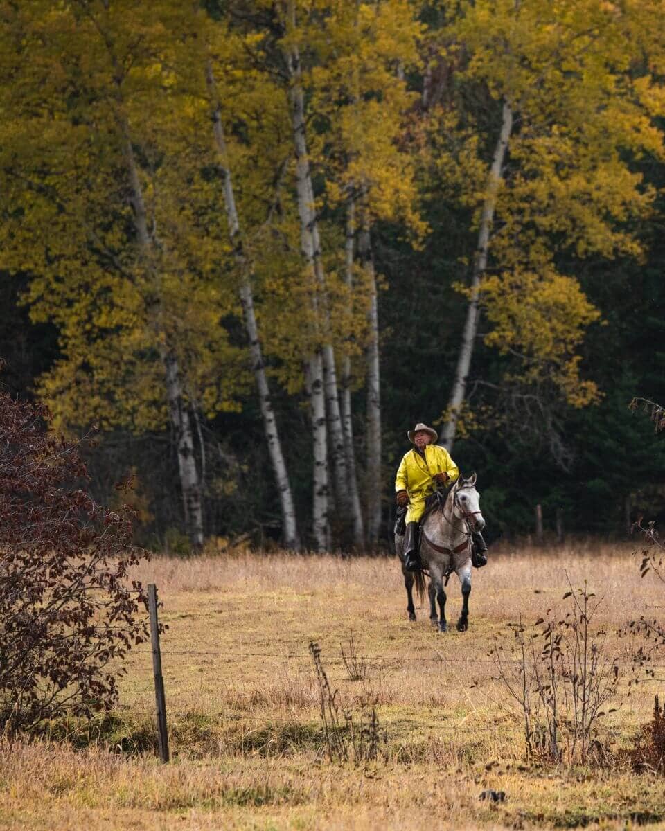 Cowboy riding his horse wearing a yellow slicker with yellow Aspen trees behind him