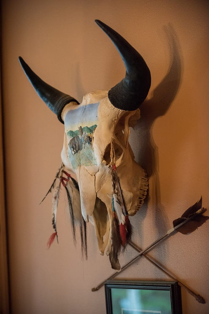 Nez Perce painted Buffalo skull with feathers