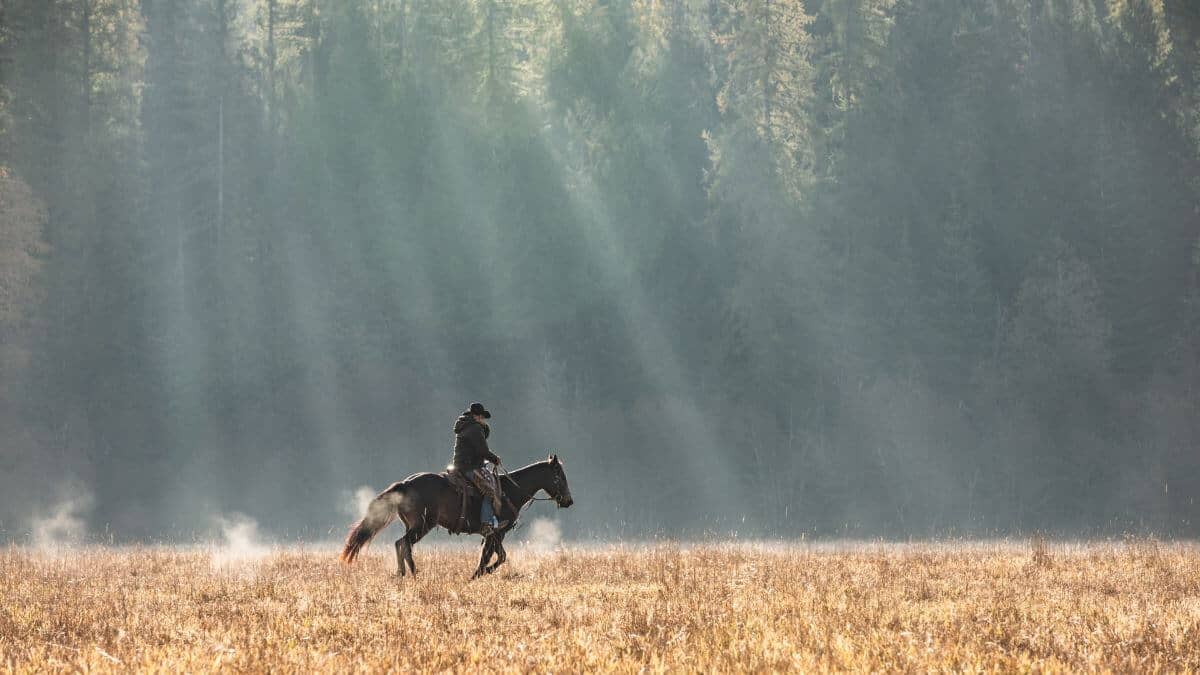 Cowboy riding ranch horse across a field in the Fall with sun rays peaking through the trees