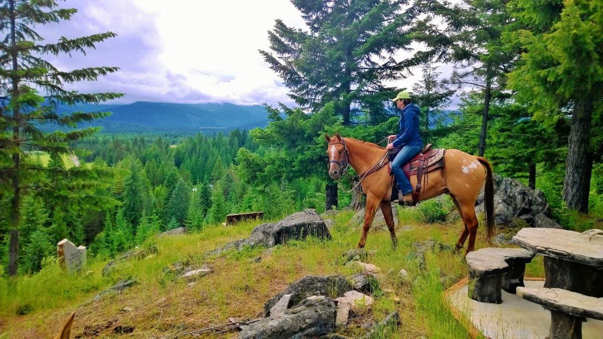 Horseback Ride With a View