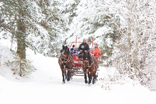 Western Pleasure Guest Ranch sleigh ride through the snow with red sleigh pulled by two draft horses