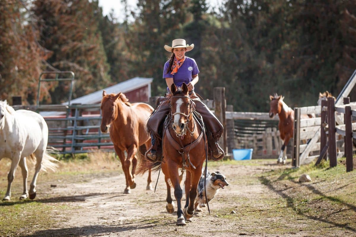 Cowgirl in chinks, purple shirt, scarf and cowboy hat smiling and riding a bay horse straight forward