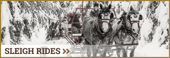 Click to read more about our sleigh rides