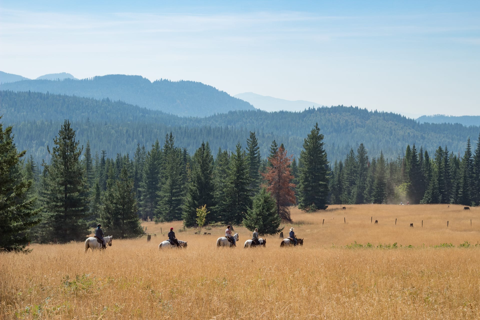 horseback riding at Western Pleasure Guest Ranch across an open ridge with mountains in the background