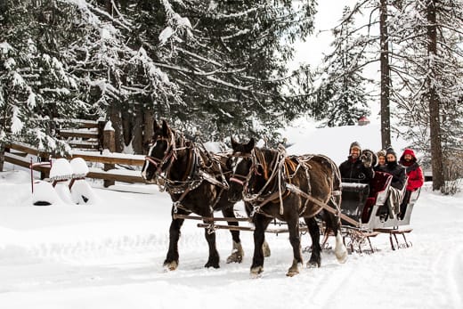 Roley at Western Pleasure Guest Ranch driving a team of two clack draft horses pulling a small black sleigh ride