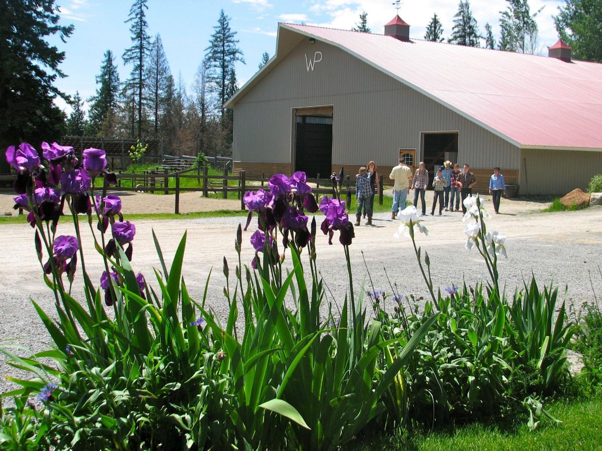 large indoor arena in the background with flowers in the foreground