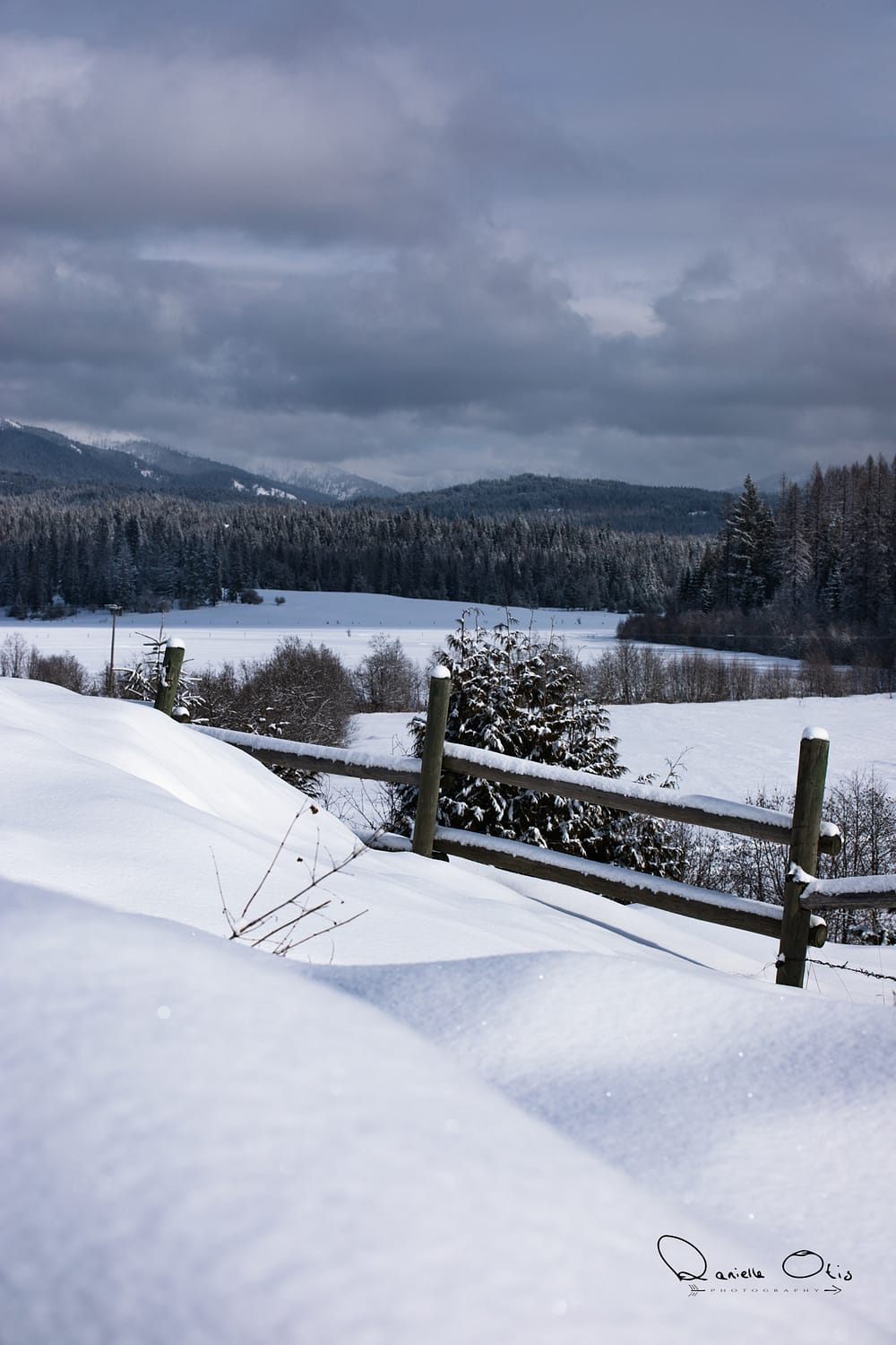 scenic snowy view of meadow and log fence