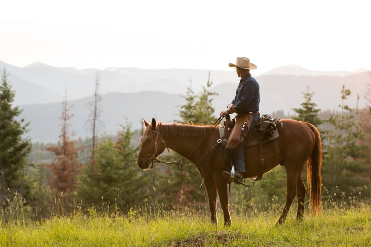 Cowboy sitting on a sorrel horse looking out at the mountains