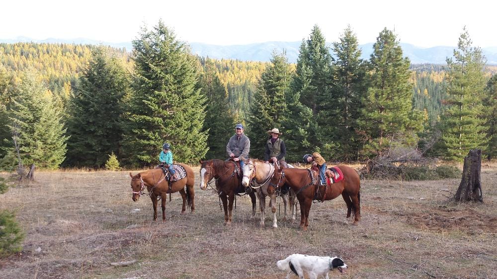 A horseback ride with the family